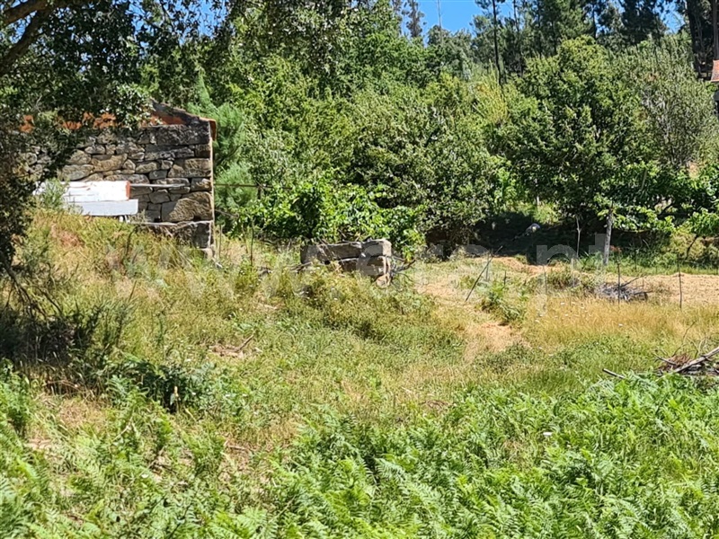 Quintinha / Marco de Canaveses, Penhalonga e Paços de Gaiolo