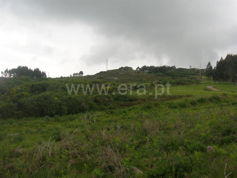 Quintinha  Marco de Canaveses, Penhalonga e Paços de Gaiolo - 698979 - 3