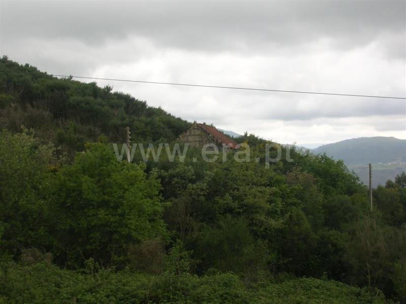 Quintinha  Marco de Canaveses, Penhalonga e Paços de Gaiolo - 698979 - 5