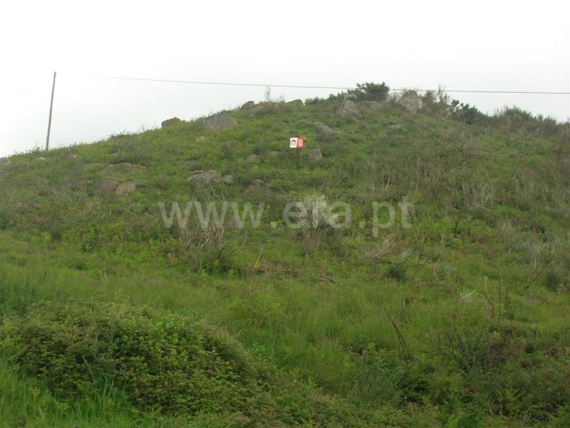 Quintinha  Marco de Canaveses, Penhalonga e Paços de Gaiolo - 698979 - 6