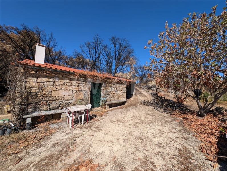 Quintinha  Meda, Mêda, Outeiro de Gatos e Fonte Longa - 1509955 - 8