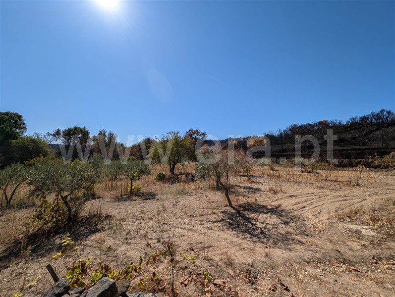 Quintinha  Meda, Mêda, Outeiro de Gatos e Fonte Longa - 1509955 - 17