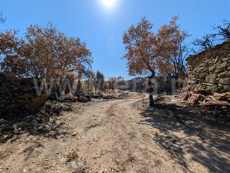 Quintinha  Meda, Mêda, Outeiro de Gatos e Fonte Longa - 1509955 - 18