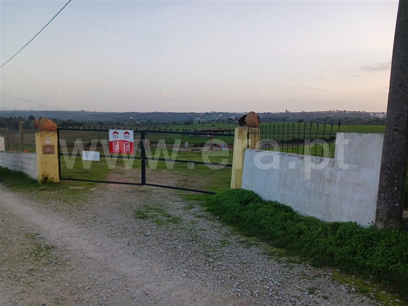 Quintinha  Nisa, Palhais - 1441911 - 1