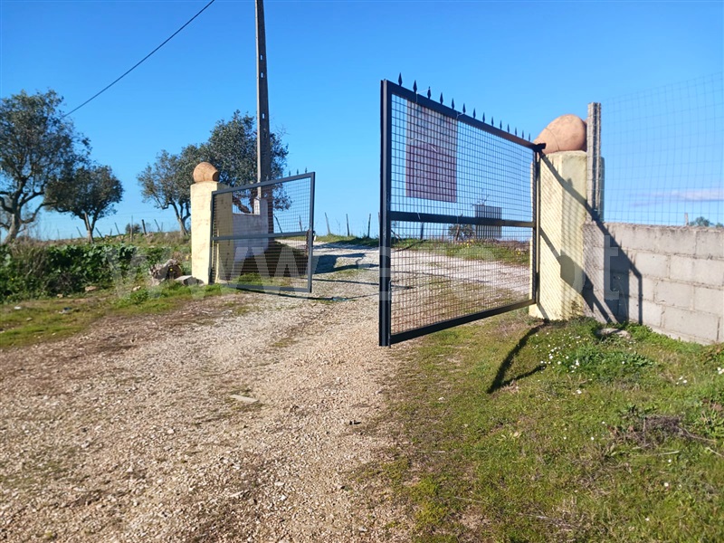 Quintinha  Nisa, Palhais - 1441911 - 8