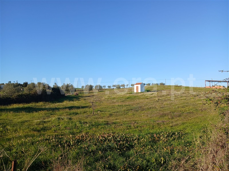 Quintinha  Nisa, Palhais - 1441911 - 14