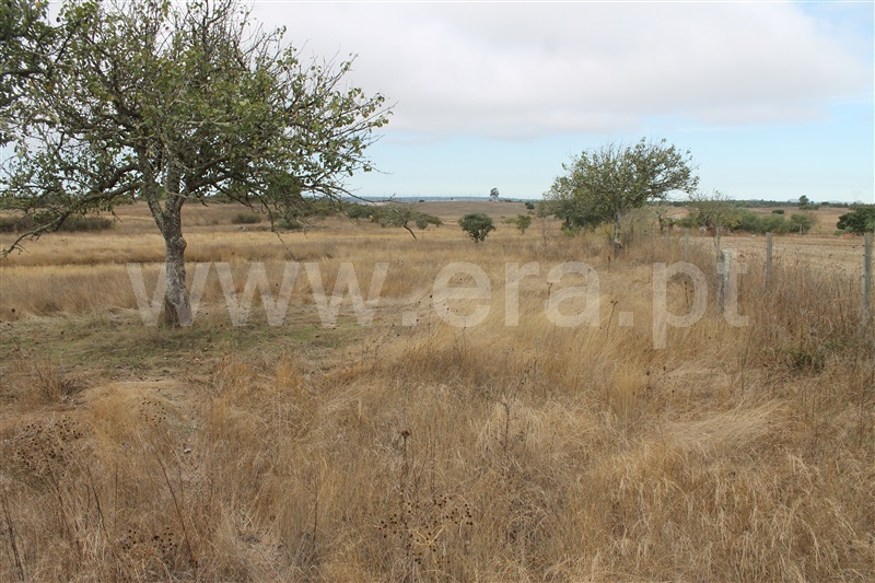 Quinta  Nisa, Nisa - 1456662 - 1