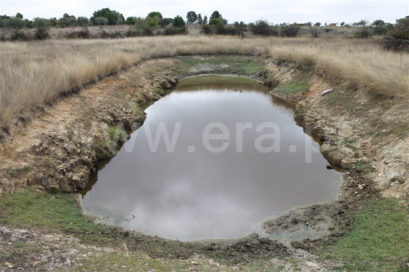 Quinta  Nisa, Nisa - 1456662 - 3