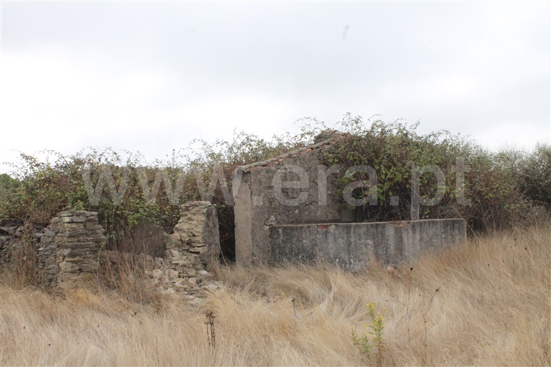 Quinta  Nisa, Nisa - 1456662 - 5