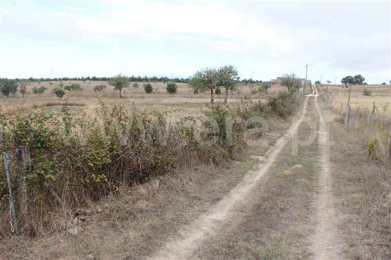 Quinta  Nisa, Nisa - 1456662 - 10