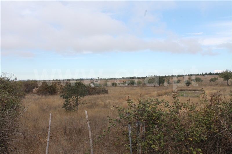 Quinta  Nisa, Nisa - 1456662 - 11