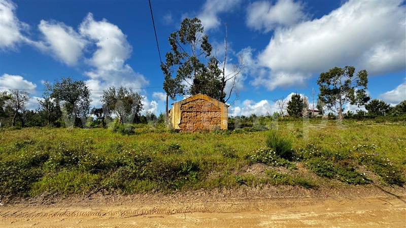 Quintinha  Odemira, Boavista dos Pinheiros - 1396420 - 8