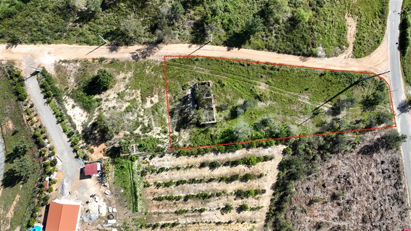 Quintinha  Odemira, Boavista dos Pinheiros - 1396420 - 21