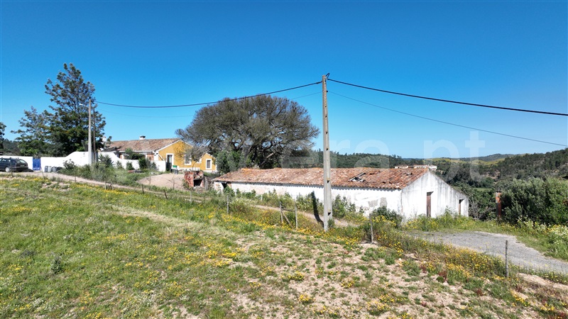 Quintinha / Odemira, Odemira