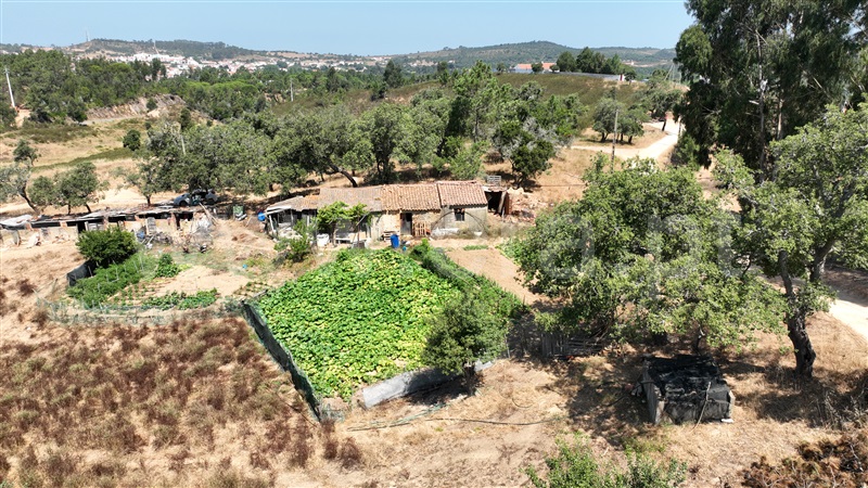 Quintinha / Odemira, São Teotónio