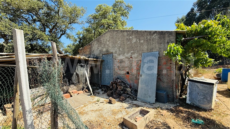 Quintinha  Odemira, São Teotónio - 1475110 - 23