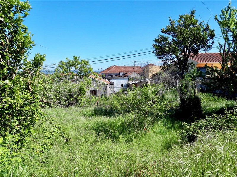 Terreno com ruina  Paredes, Duas Igrejas - 1167981 - 2