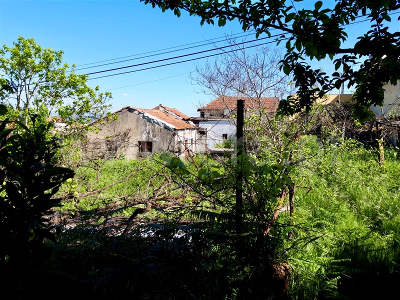 Terreno com ruina  Paredes, Duas Igrejas - 1167981 - 6