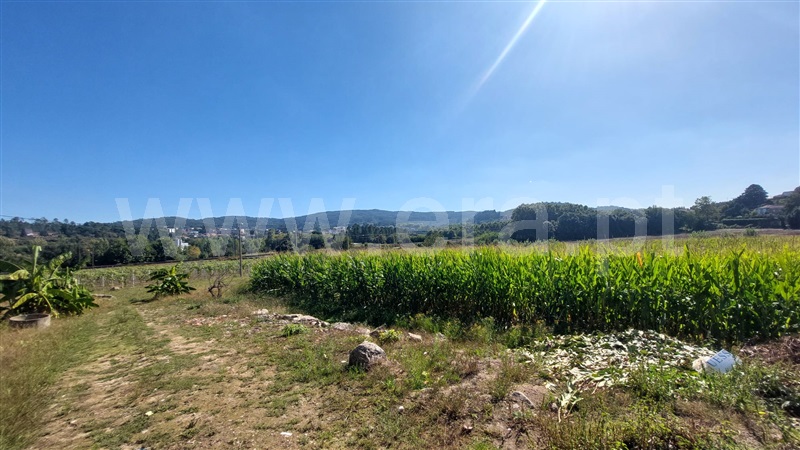 Quintinha  Penafiel, Irivo - 1435166 - 5