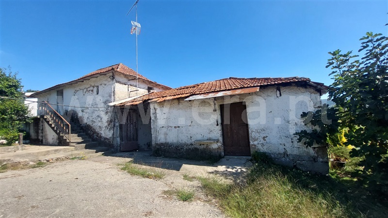 Quintinha / Penafiel, Irivo