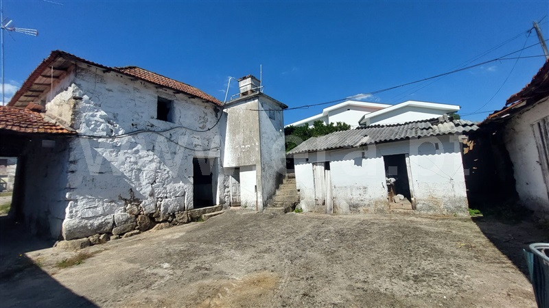 Quintinha  Penafiel, Irivo - 1435166 - 10