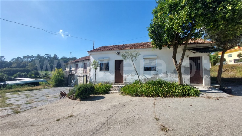 Quintinha  Penafiel, Irivo - 1435166 - 16