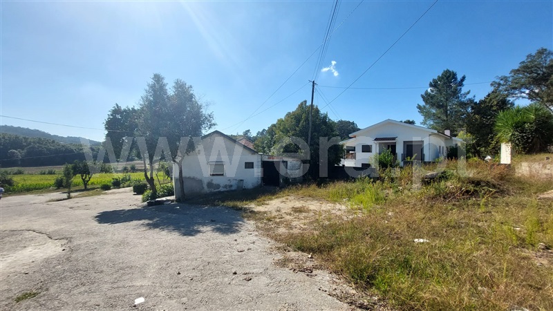 Quintinha  Penafiel, Irivo - 1435166 - 17