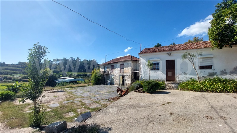 Quintinha  Penafiel, Irivo - 1435166 - 21