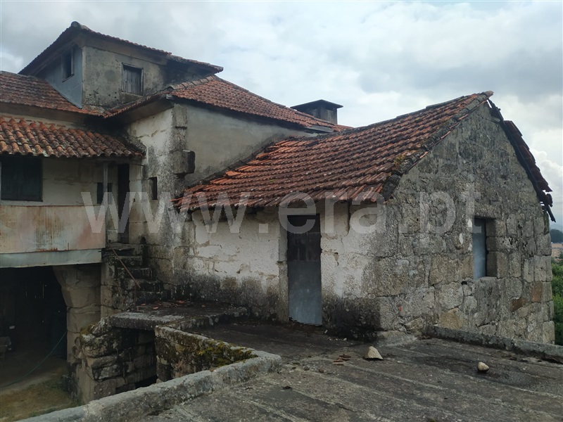 Quintinha  Penafiel, Luzim e Vila Cova - 1332362 - 2