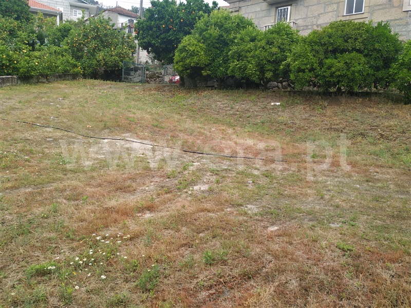 Quintinha  Penafiel, Luzim e Vila Cova - 1332362 - 11