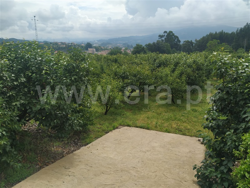 Quintinha  Penafiel, Luzim e Vila Cova - 1332362 - 17