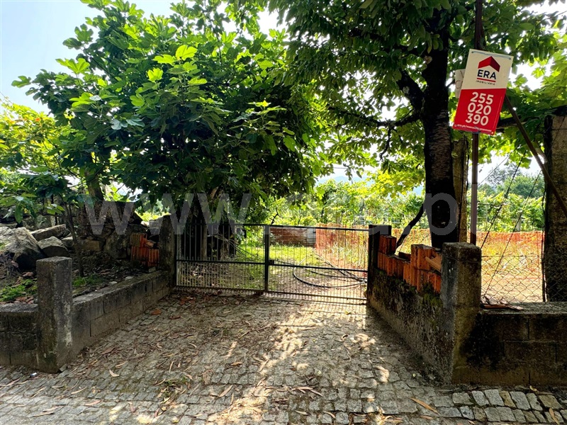 Quintinha  Penafiel, Luzim e Vila Cova - 1406951 - 4