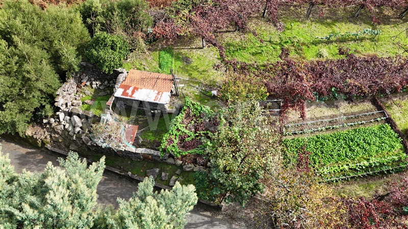 Quintinha  Penafiel, Rio Tâmega - 1406951 - 8