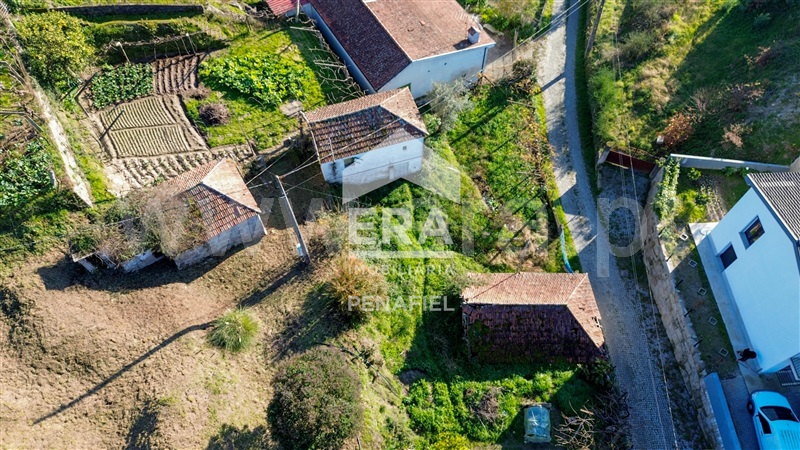 Quintinha  Penafiel, S.Martinho Recesinhos - 1450087 - 2