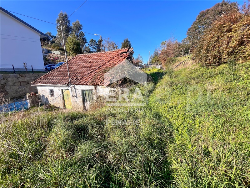 Quintinha  Penafiel, S.Martinho Recesinhos - 1450087 - 7