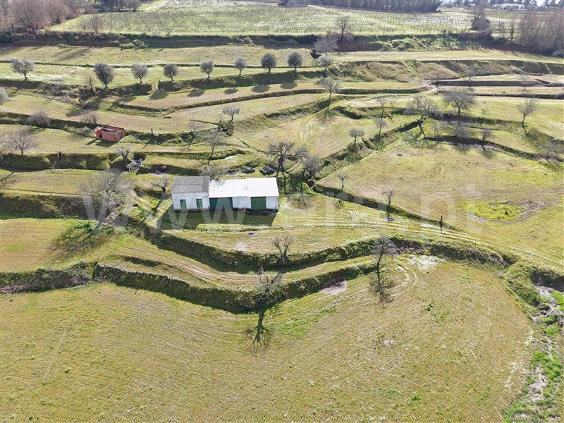 Quintinha  Penalva do Castelo, Ínsua - 1455769 - 4