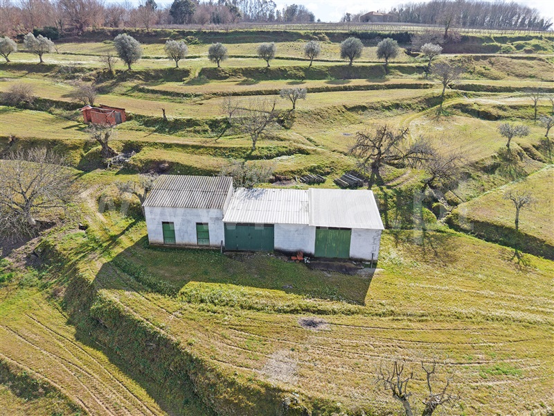 Quintinha  Penalva do Castelo, Ínsua - 1455769 - 5