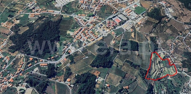 Quintinha  Penalva do Castelo, Ínsua - 1455769 - 13