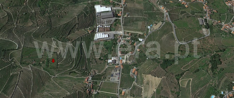 Quintinha  Peso da Régua, Peso da Régua e Godim - 1345556 - 7