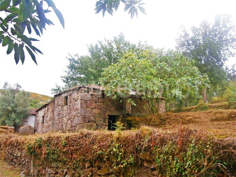 Quintinha / Póvoa de Lanhoso, Friande