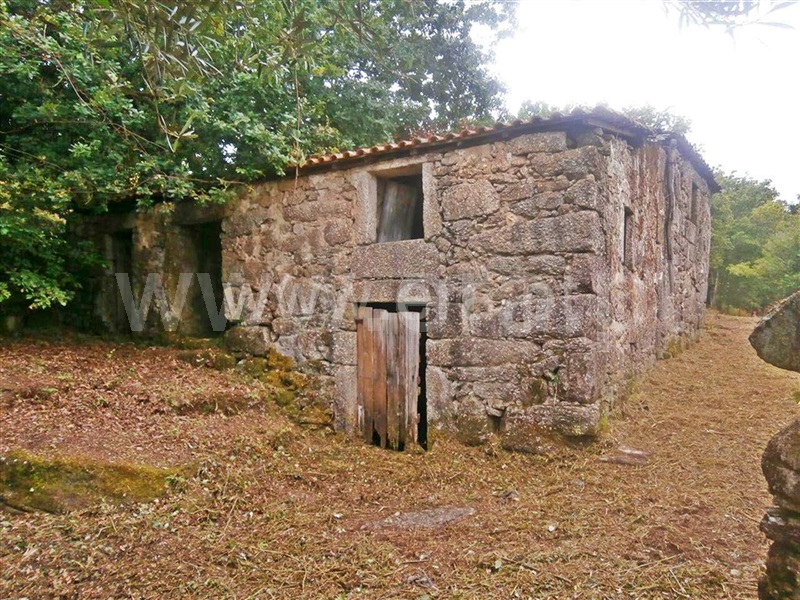 Quintinha  Póvoa de Lanhoso, Friande - 63868 - 2