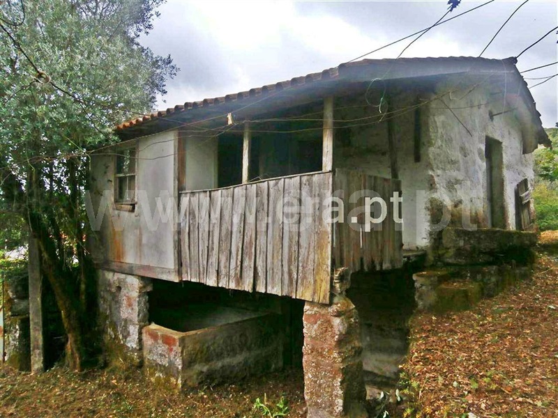 Quintinha  Póvoa de Lanhoso, Friande - 63868 - 4