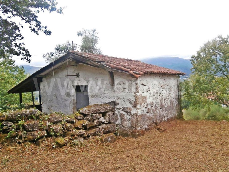 Quintinha  Póvoa de Lanhoso, Friande - 63868 - 5
