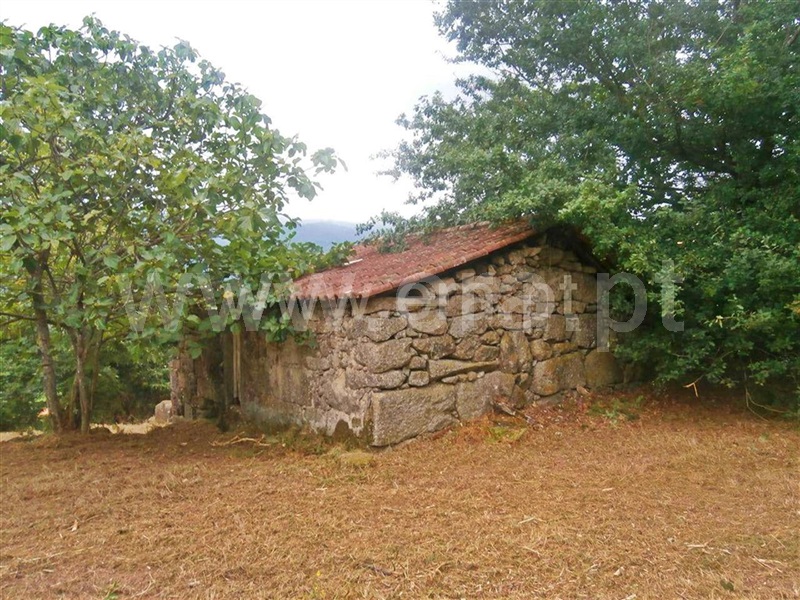 Quintinha  Póvoa de Lanhoso, Friande - 63868 - 6
