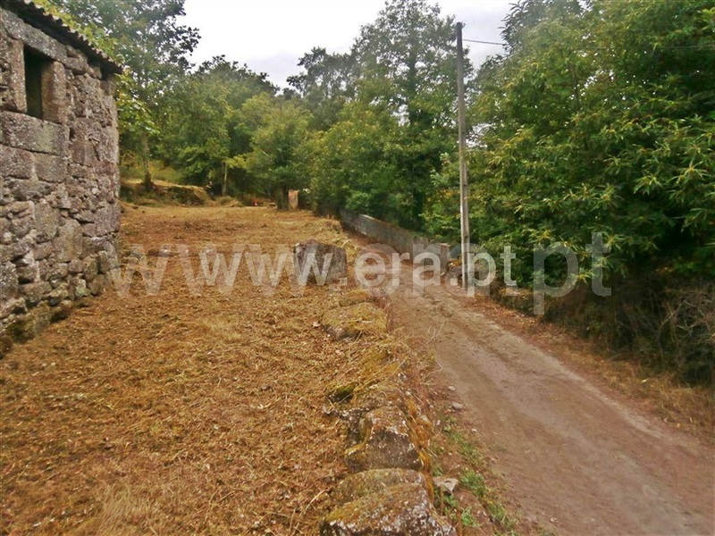 Quintinha  Póvoa de Lanhoso, Friande - 63868 - 9