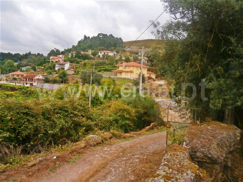 Quintinha  Póvoa de Lanhoso, Friande - 63868 - 12