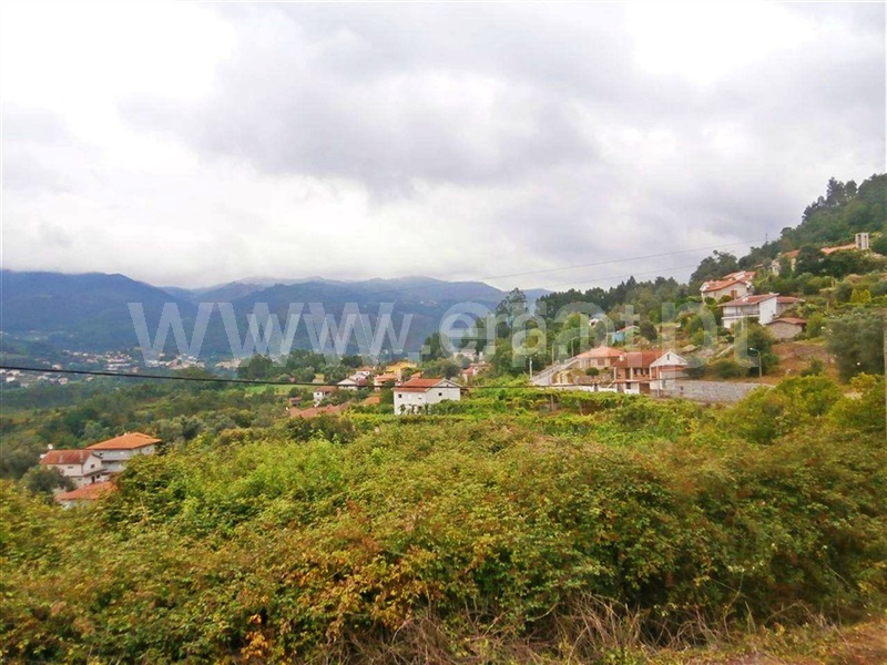 Quintinha  Póvoa de Lanhoso, Friande - 63868 - 13