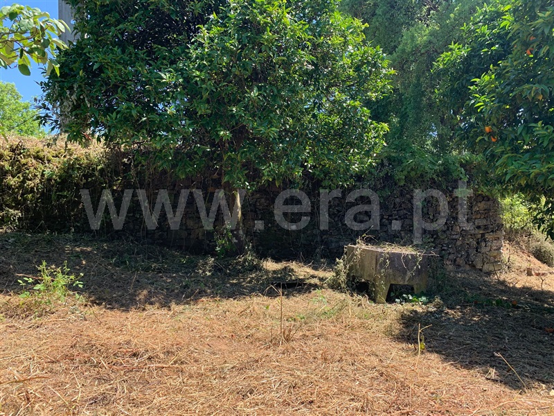 Quintinha / Proença-a-Nova, Sobreira Formosa e Alvito da Beira