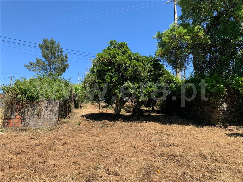 Quintinha  Proença-a-Nova, Sobreira Formosa - 1483918 - 5