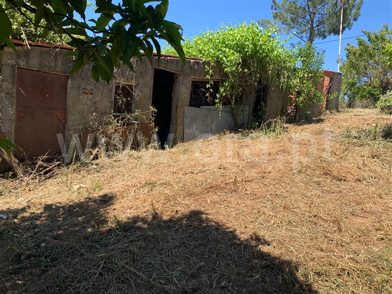 Quintinha  Proença-a-Nova, Sobreira Formosa - 1483918 - 9